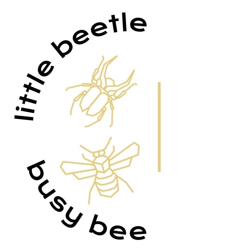 Little Beetle Busy Bee English School