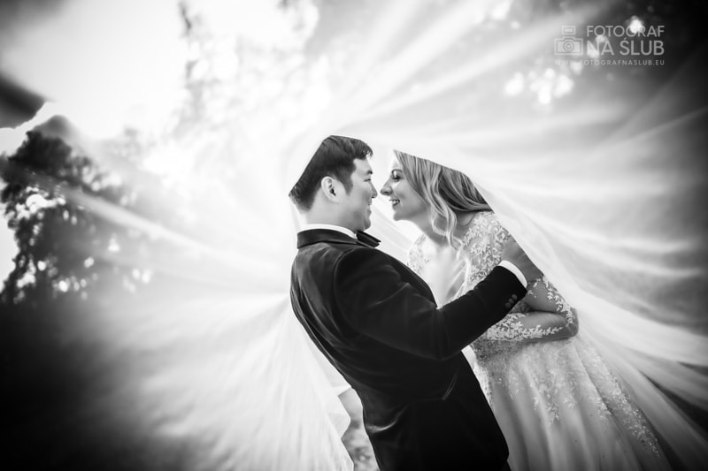 Fotograf na ślub - SnapGraphics - Fotografia okolicznościowa